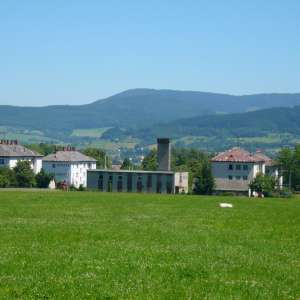 Obrázek