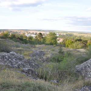 Obrázek