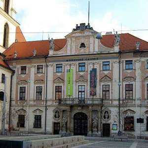 Obrázek