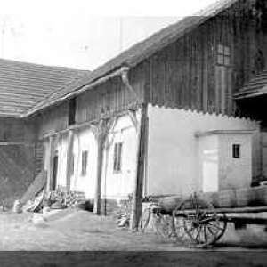 Obrázek