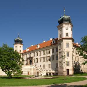 Obrázek