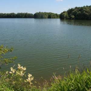 Obrázek