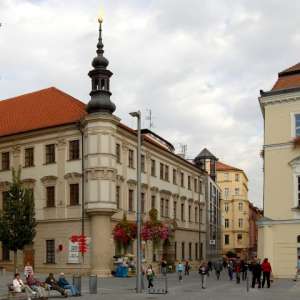Obrázek