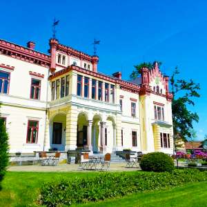 Obrázek