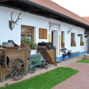Obrázek
