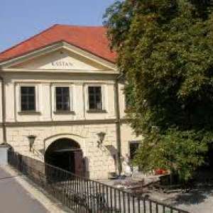 Obrázek