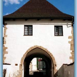 Obrázek