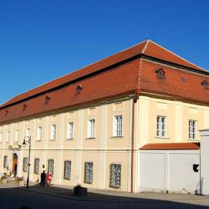 Obrázek