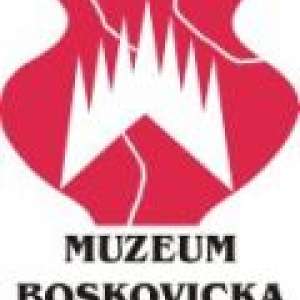 Obrázek
