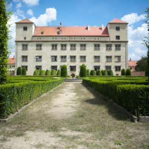 Obrázek