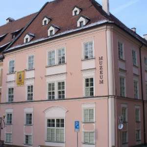 Obrázek