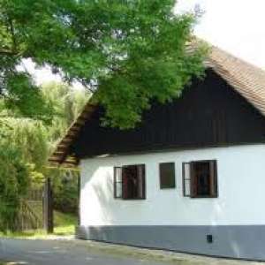 Obrázek
