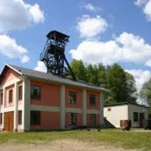 Obrázek