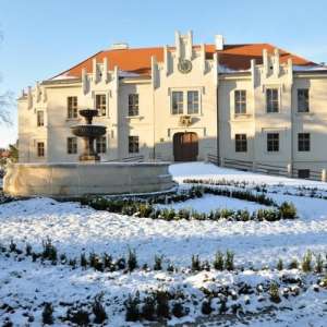 Obrázek