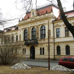 Obrázek