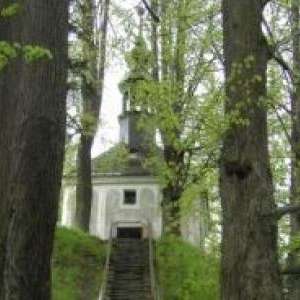 Obrázek