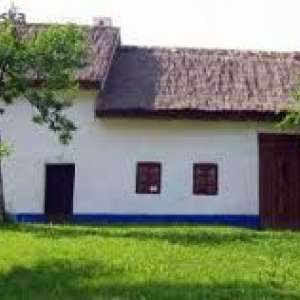 Obrázek