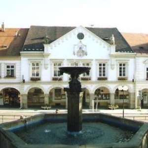 Obrázek