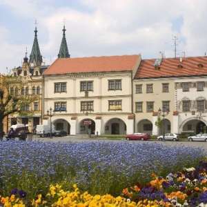 Obrázek