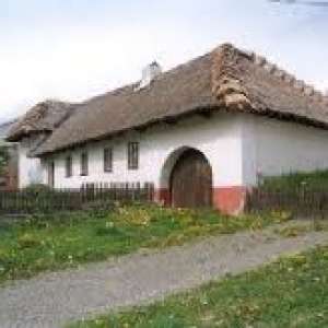 Obrázek