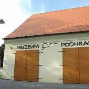 Obrázek