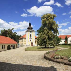 Obrázek