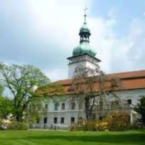 Obrázek