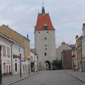 Obrázek