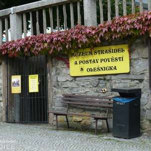 Obrázek