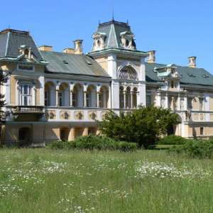 Obrázek