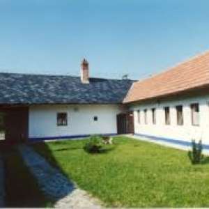 Obrázek