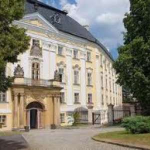 Obrázek