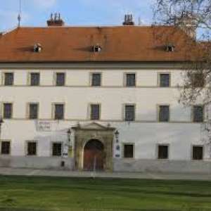 Obrázek