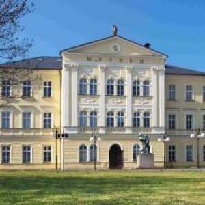 Obrázek