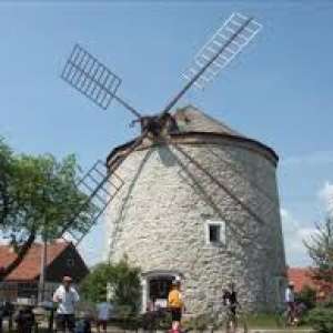 Obrázek