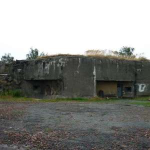 Obrázek