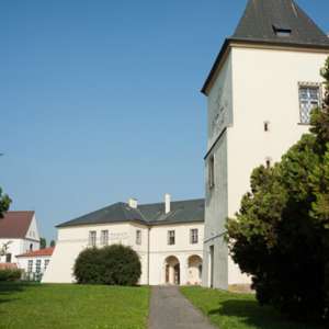Obrázek