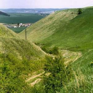 Obrázek