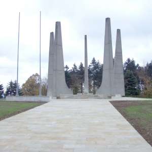 Obrázek