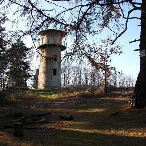 Obrázek