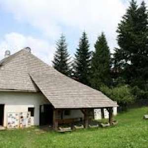 Obrázek