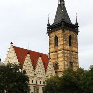 Obrázek