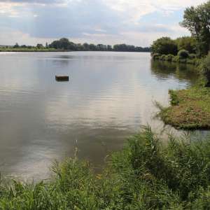 Obrázek