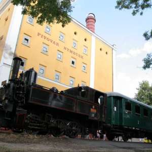 Obrázek