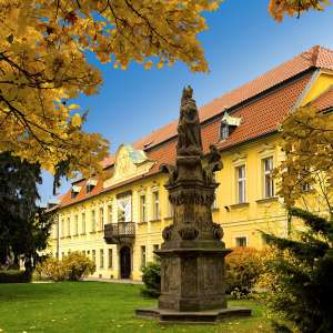 Obrázek