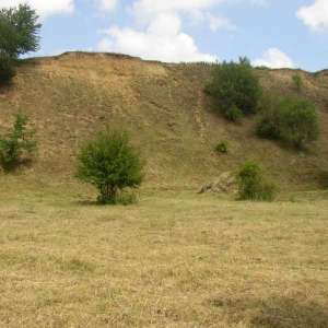 Obrázek