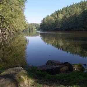 Obrázek