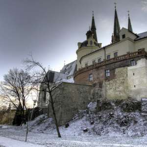 Obrázek