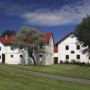 Obrázek