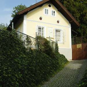 Obrázek